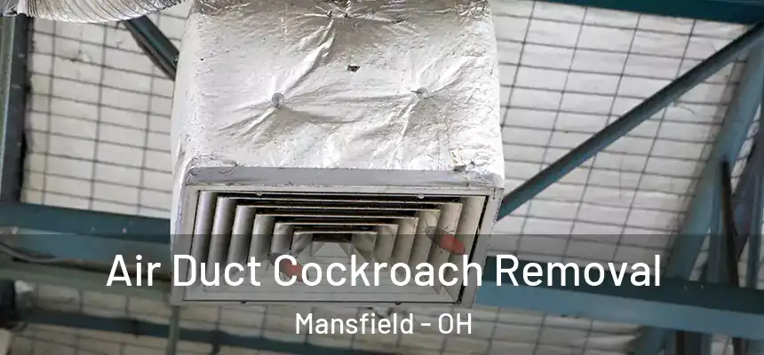  Air Duct Cockroach Removal Mansfield - OH