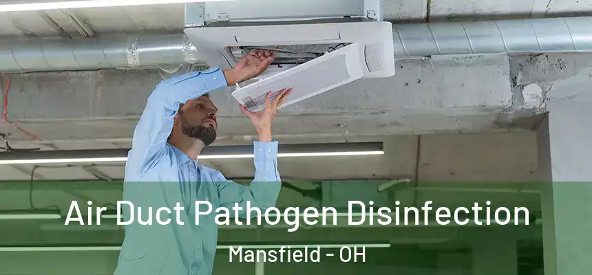  Air Duct Pathogen Disinfection Mansfield - OH