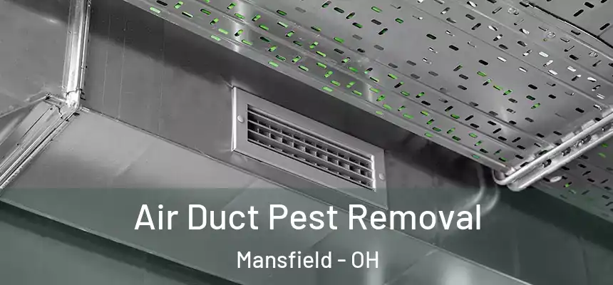  Air Duct Pest Removal Mansfield - OH