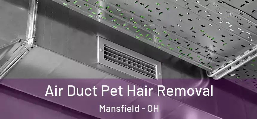  Air Duct Pet Hair Removal Mansfield - OH