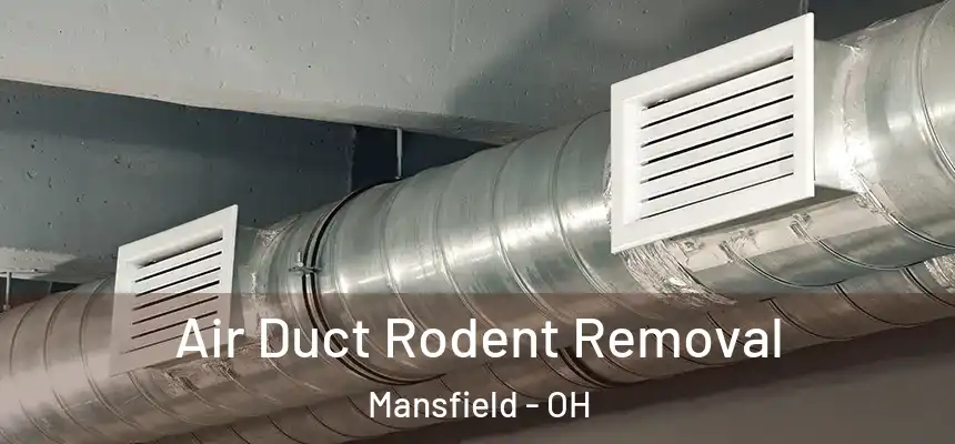  Air Duct Rodent Removal Mansfield - OH
