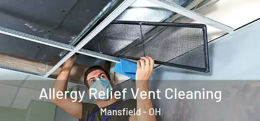  Allergy Relief Vent Cleaning Mansfield - OH