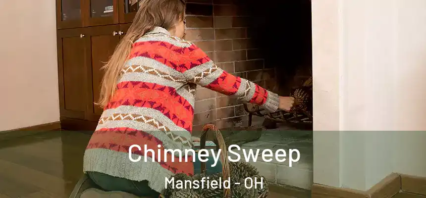  Chimney Sweep Mansfield - OH