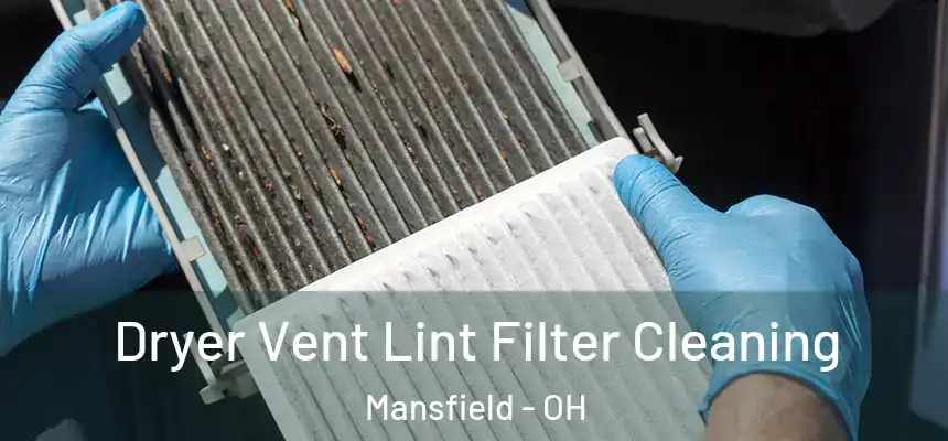 Dryer Vent Lint Filter Cleaning Mansfield - OH