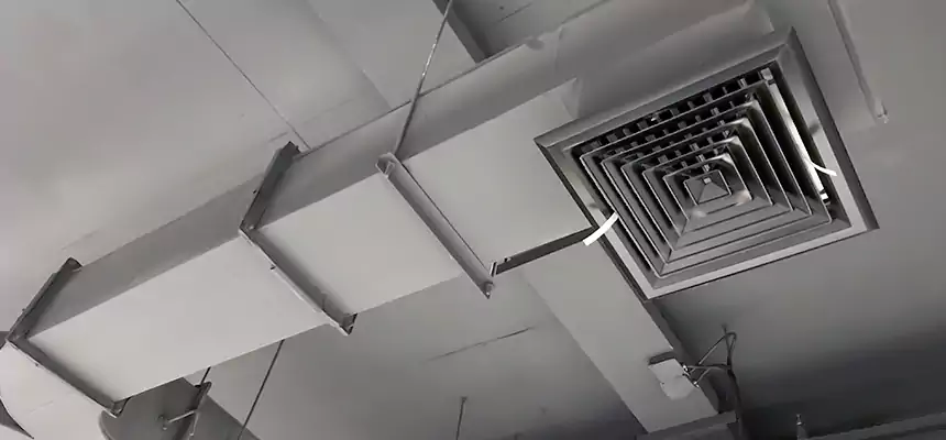 Restorative Allergy Relief Vent Cleaning – Coil, Blower & Housing Detail in Mansfield