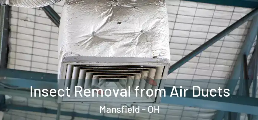  Insect Removal from Air Ducts Mansfield - OH