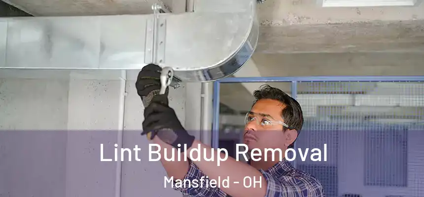 Lint Buildup Removal Mansfield - OH