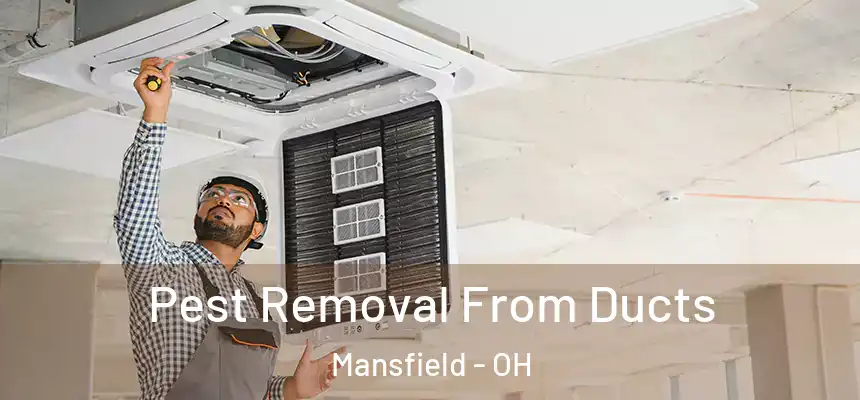  Pest Removal From Ducts Mansfield - OH