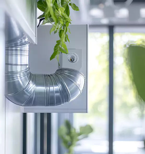 Professional Eco-Safe Dryer Vent Cleaning in Mansfield, OH