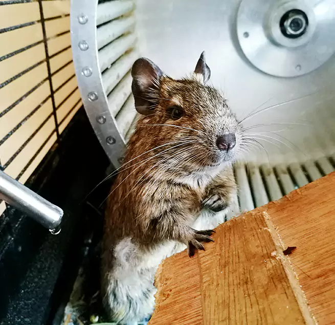 Why Homeowners & Businesses Trust Us Mansfield, OH?